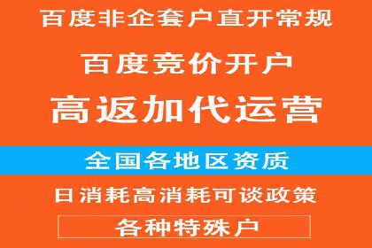 提升关键词竞价排名转化率：经典案例解析